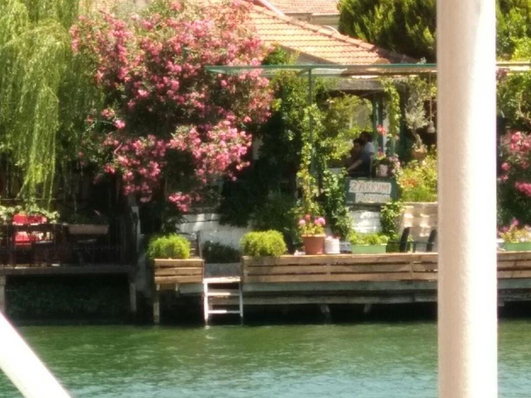 Zakkum Dalyan