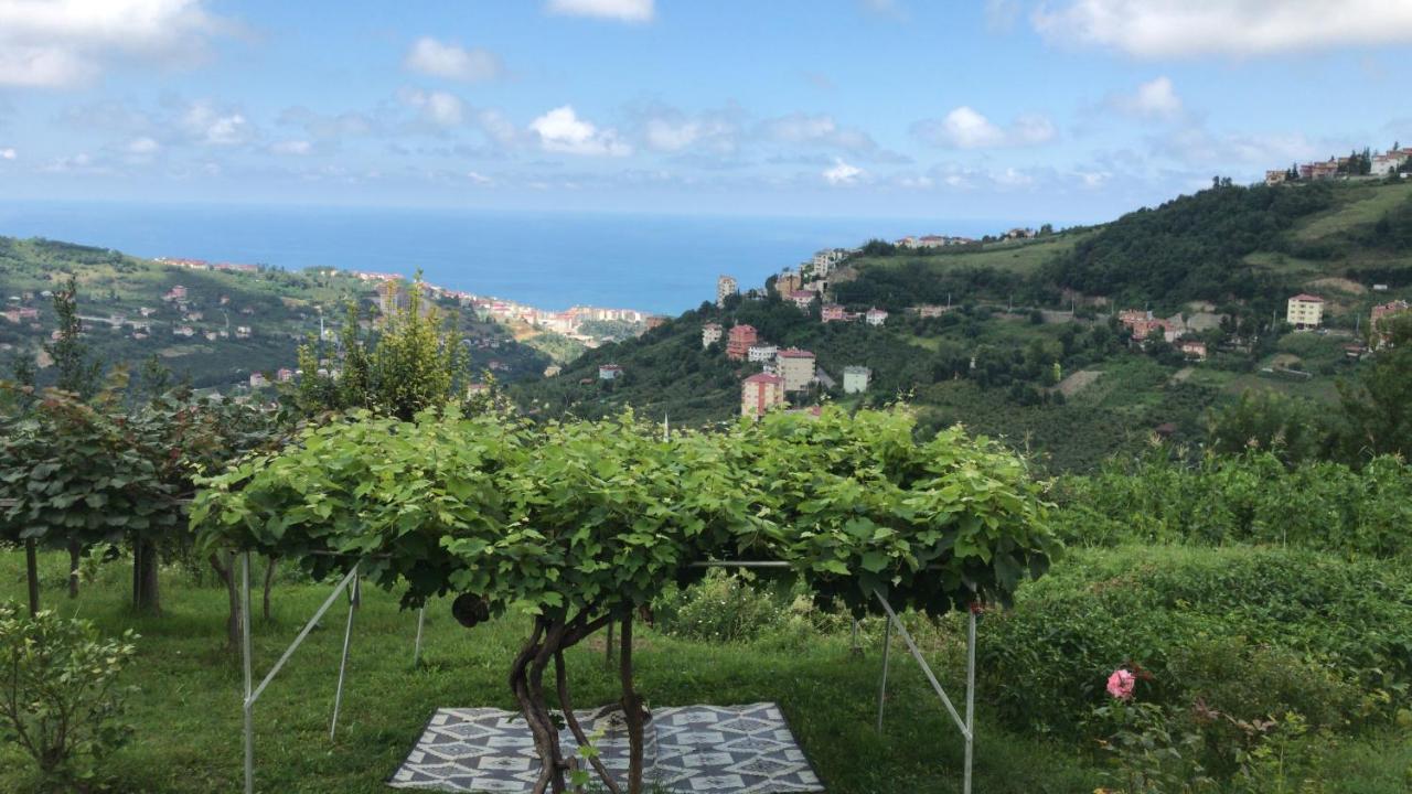 Villa Sea & Nature Hisar