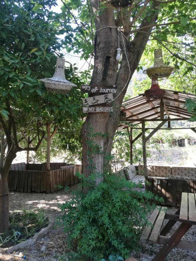 Yakamoz Holiday park Olympos
