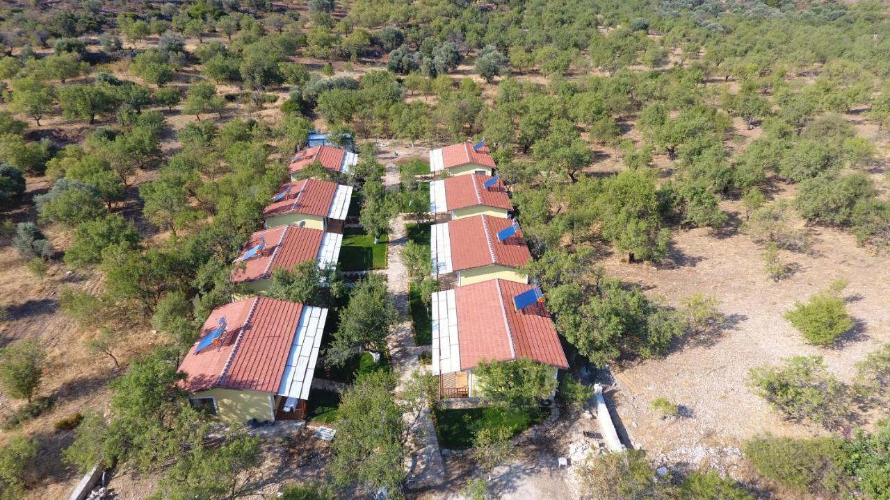 Hotel Selerdoga Evleri