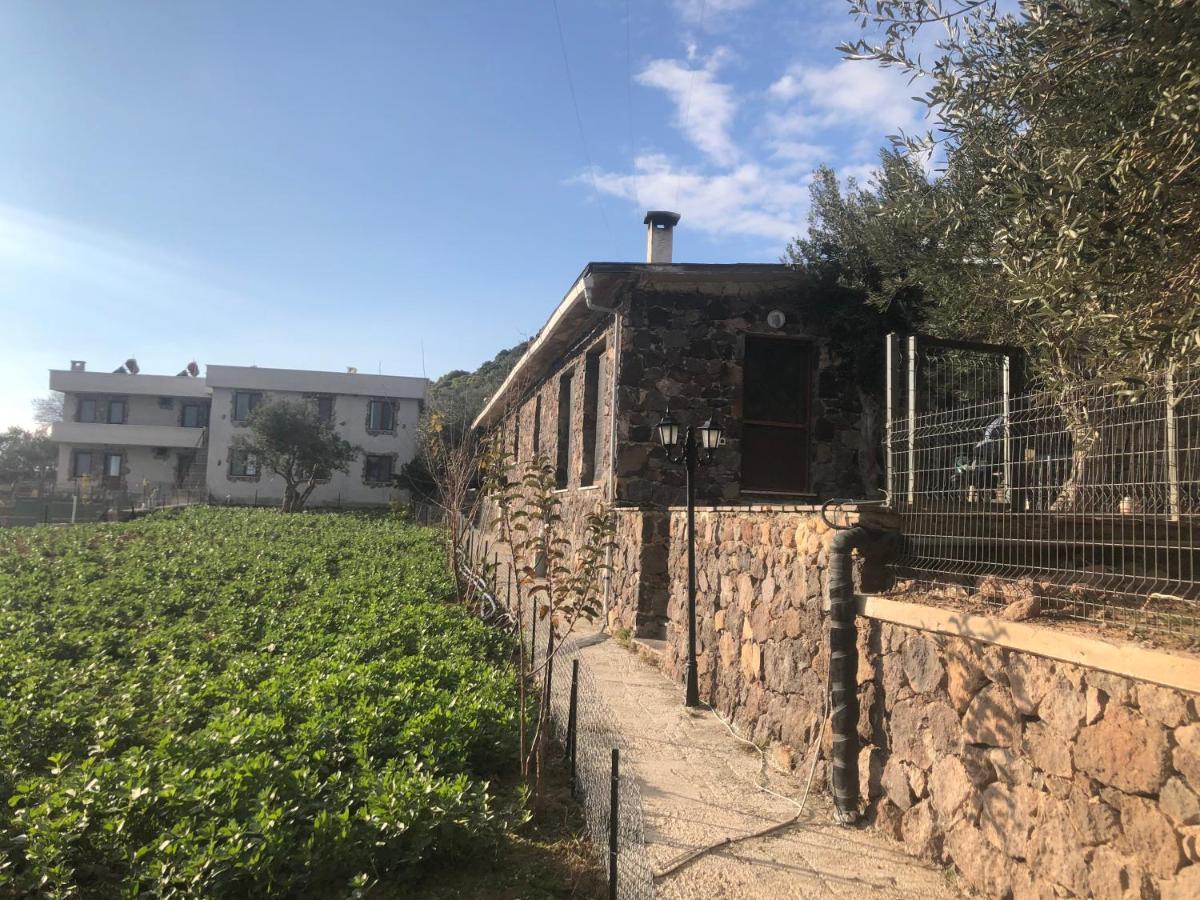 Hotel Alis Farm Boutique & Assos