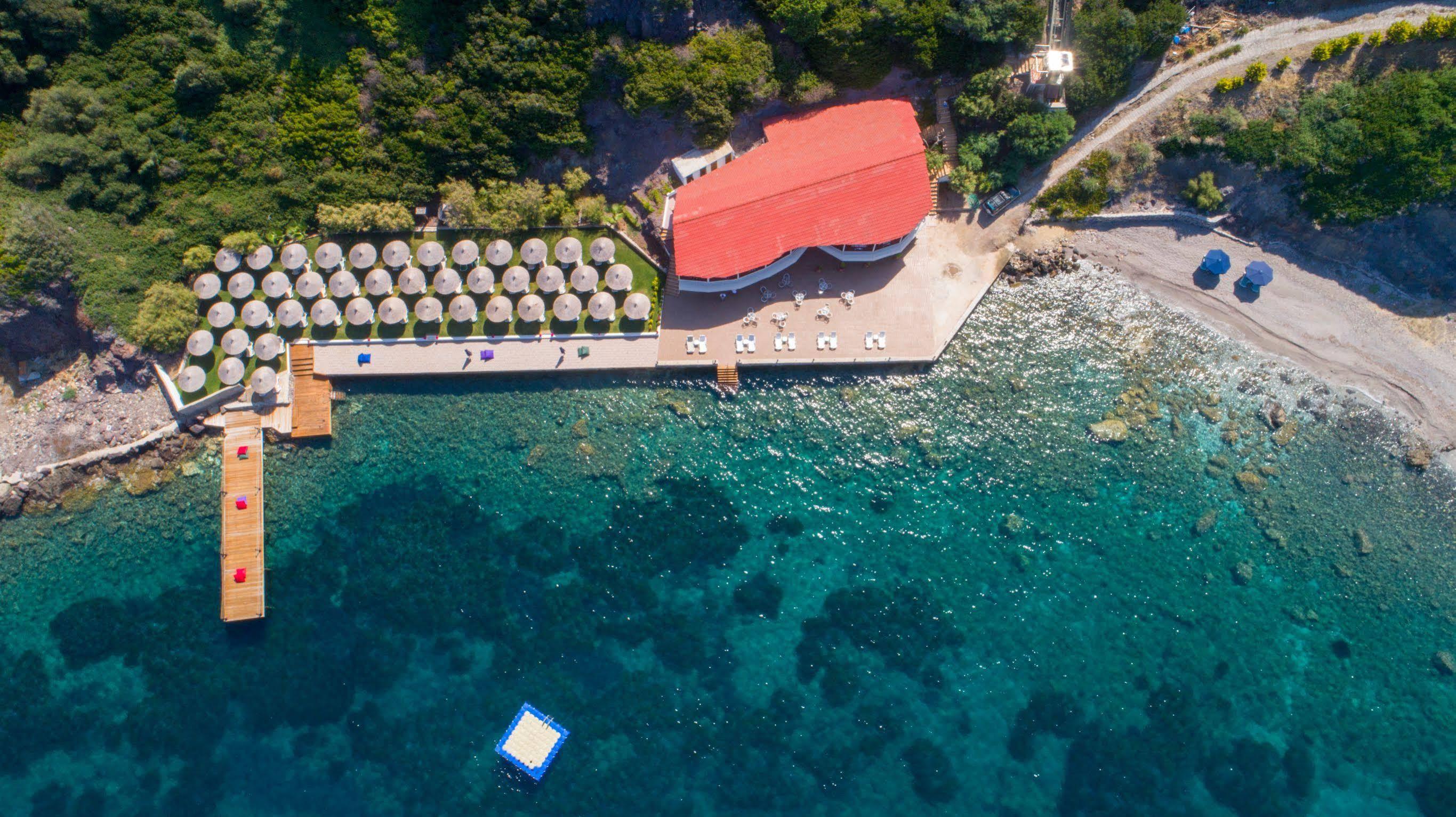 Hotel Arion