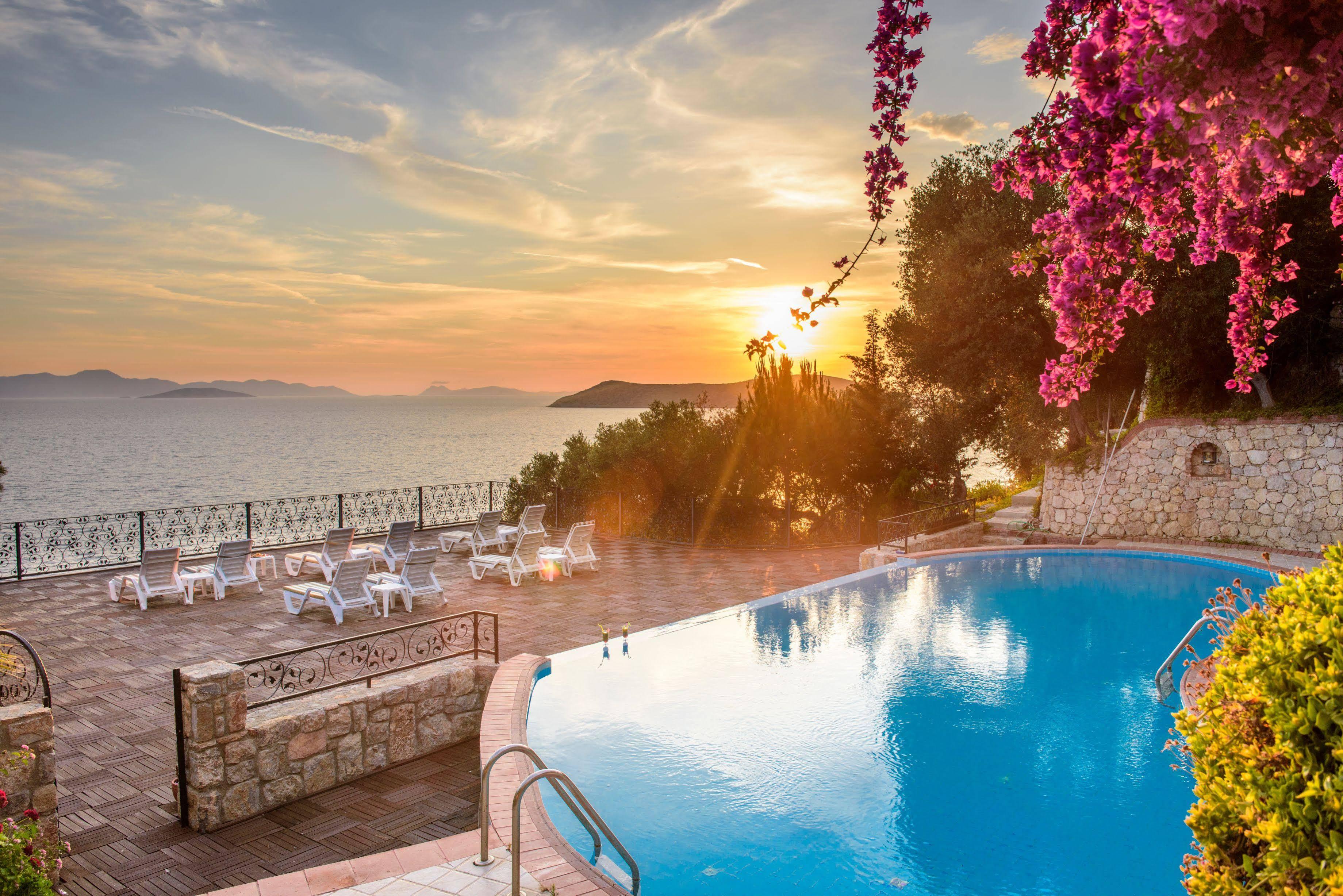 Hotel Arion