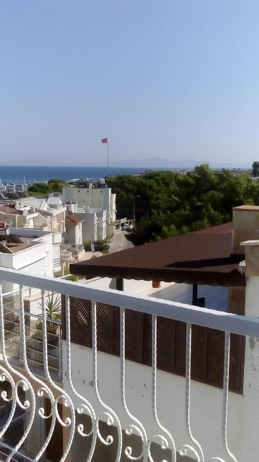 Cicek * Didim