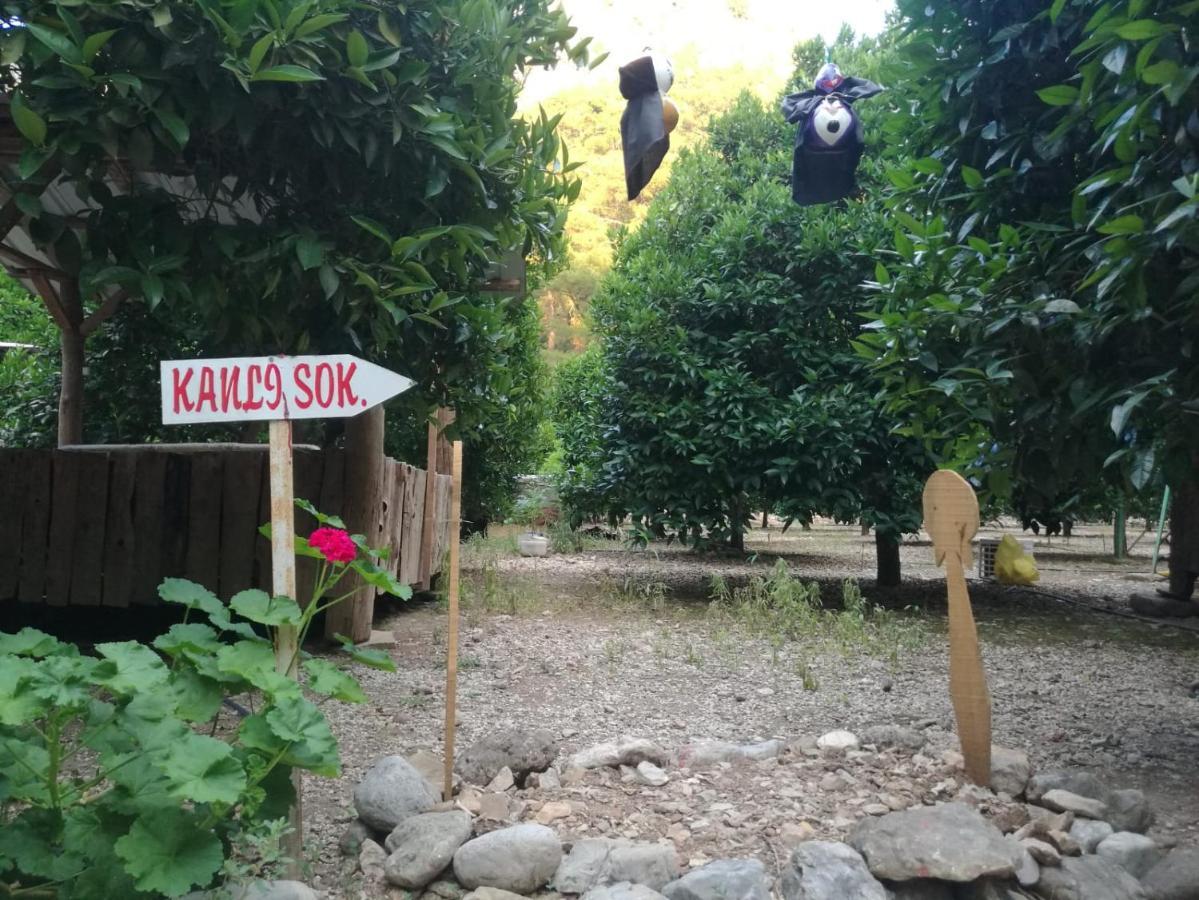 Holiday park Yakamoz Olympos