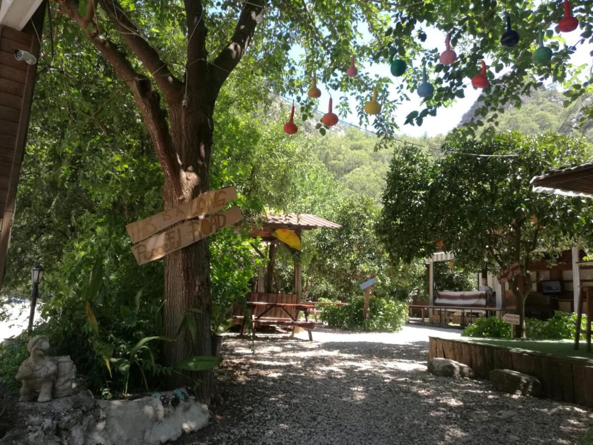 Yakamoz * Olympos