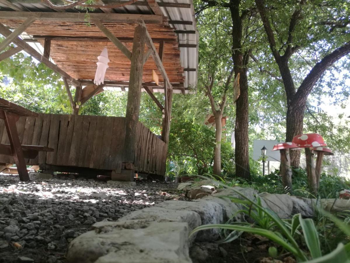 Yakamoz * Olympos
