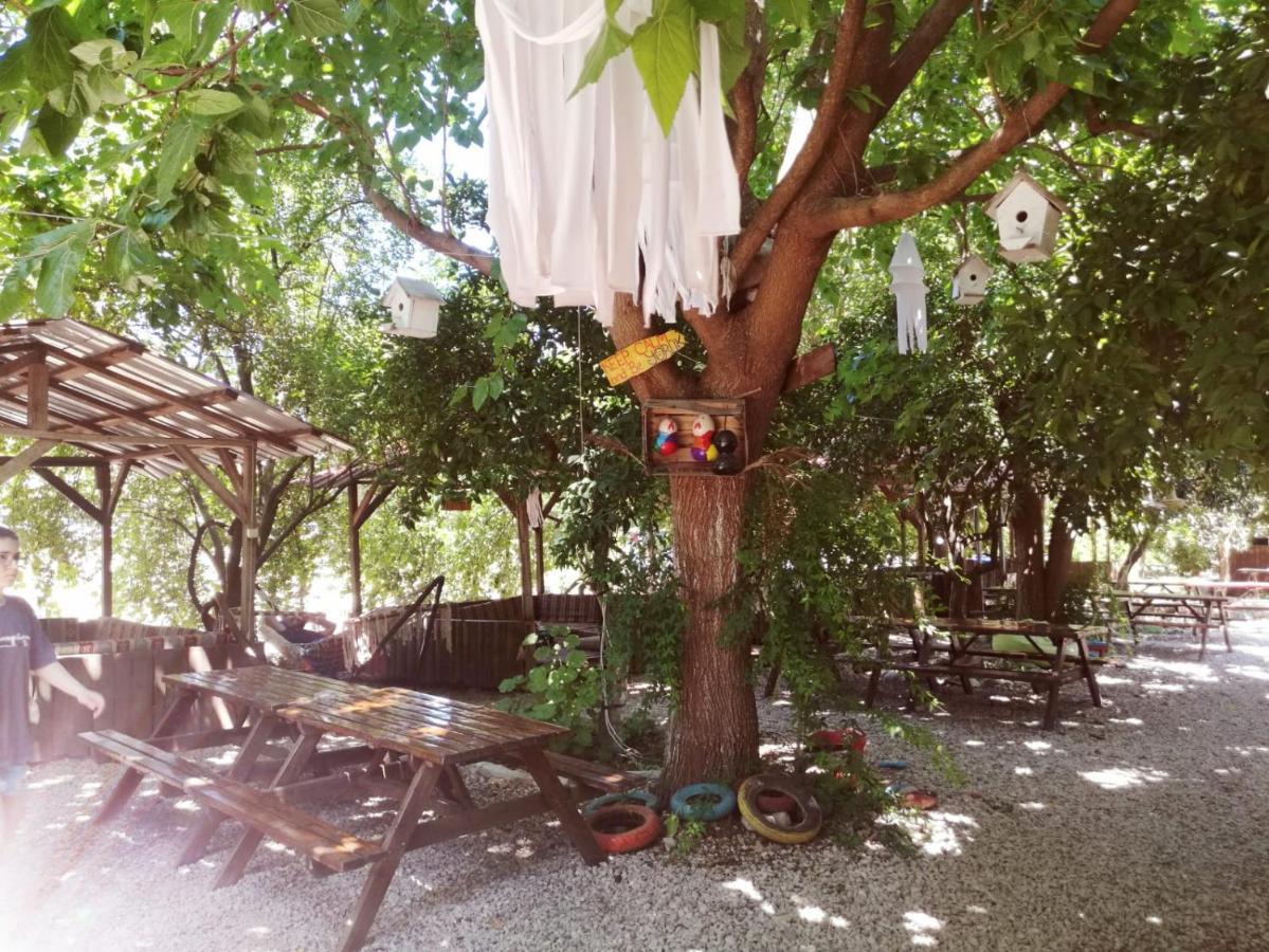 Yakamoz Olympos