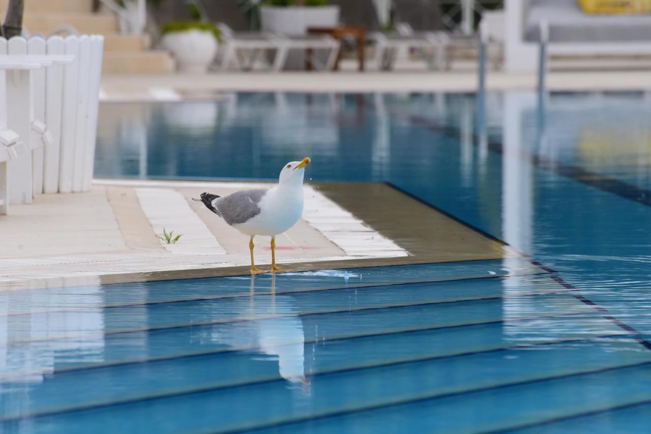 Hotel Warner Phokaia Foca