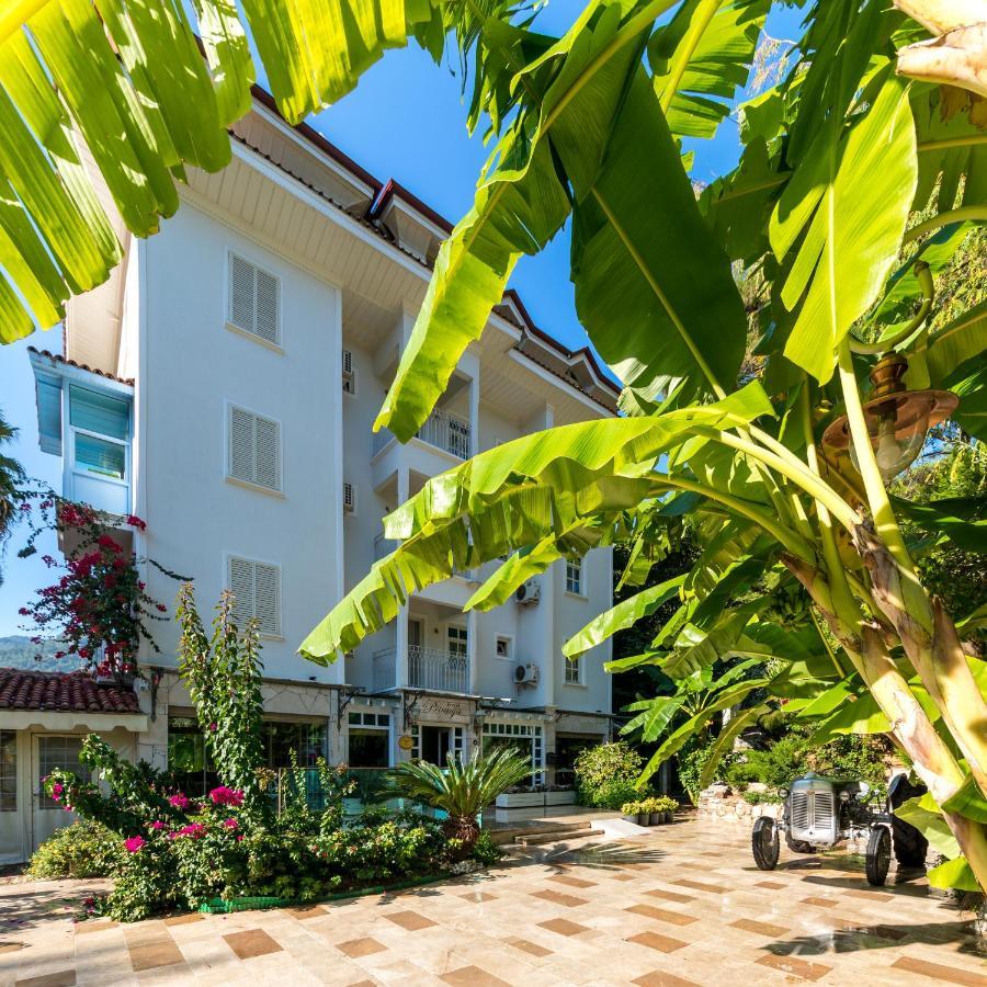 Hotel Petunya Boutique 3*