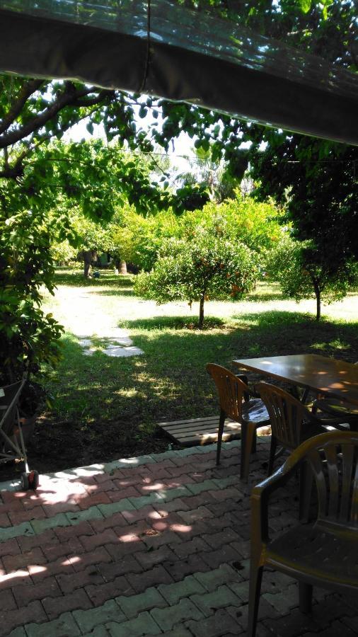 Armina Lodge