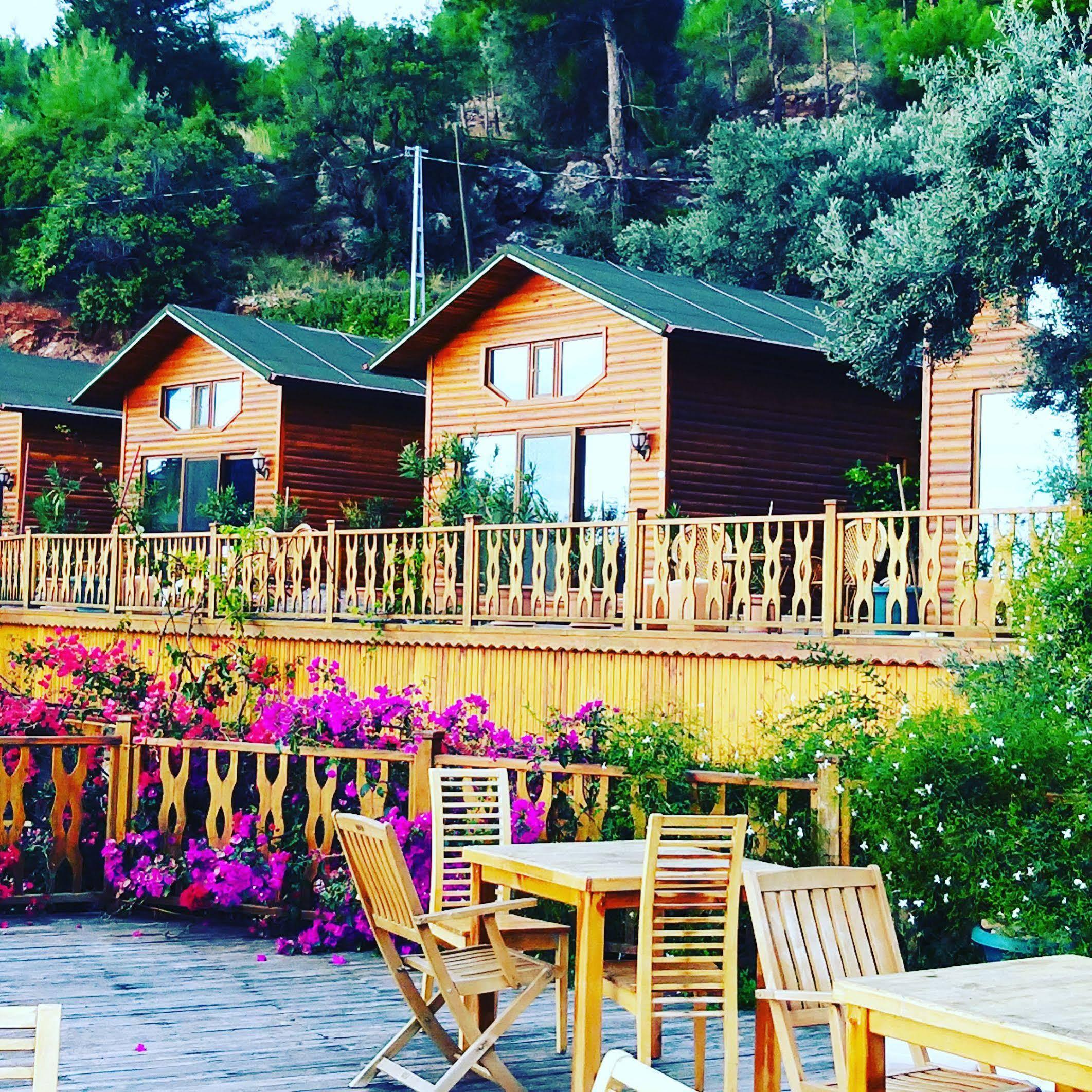 Hotel Kabak Armes Faralya