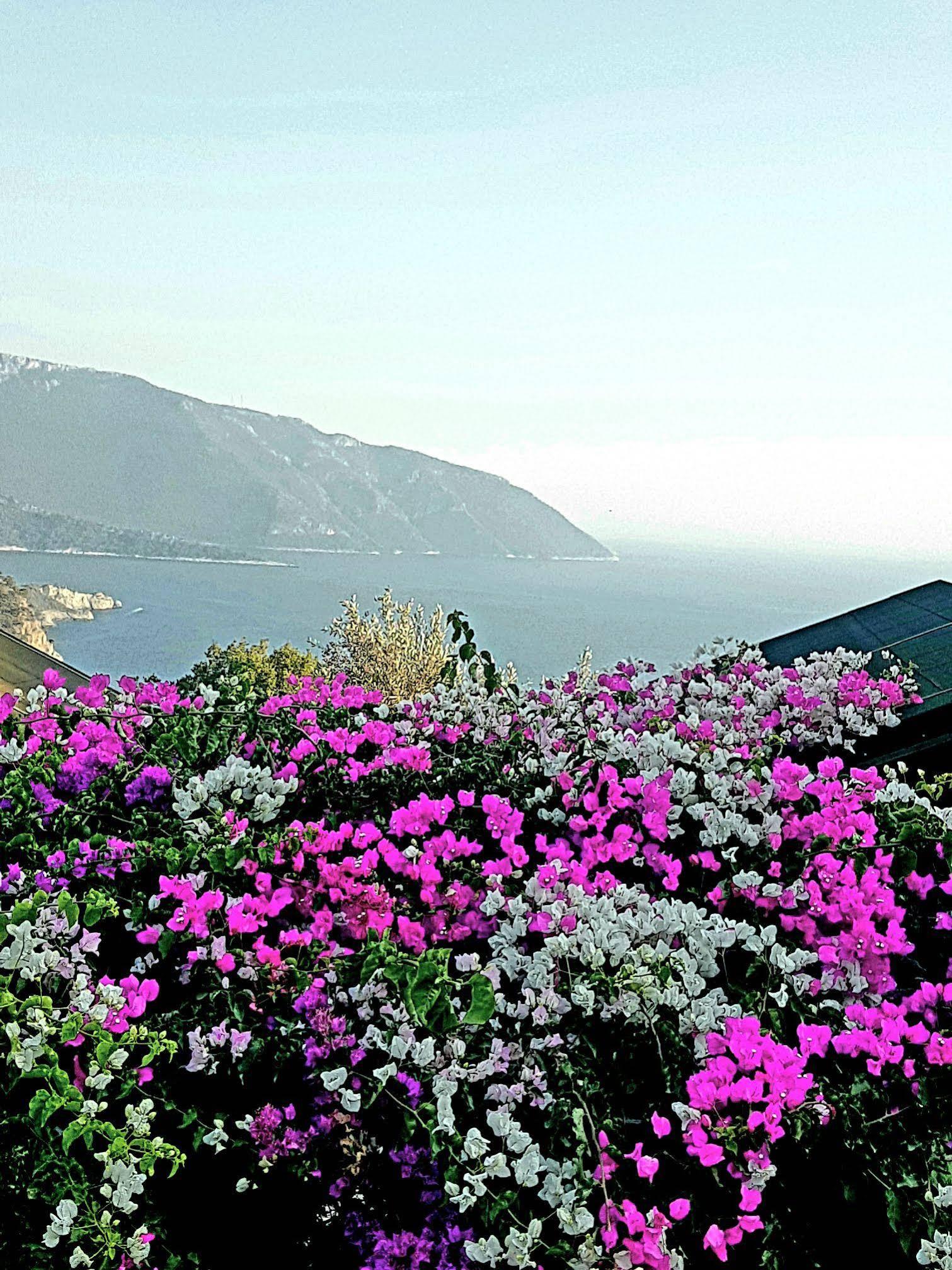 Hotel Kabak Armes Faralya