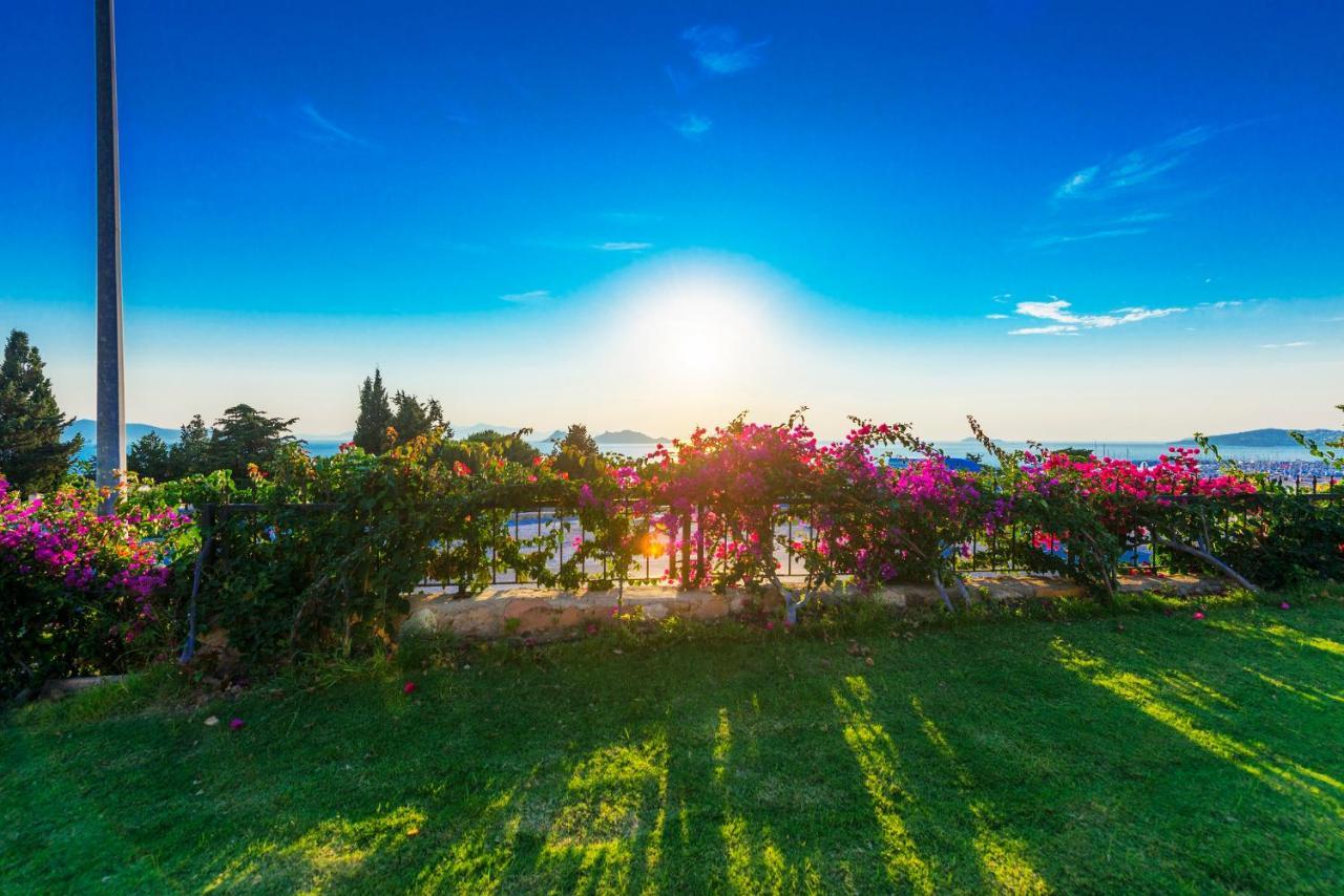 Sunset Mavi Holiday home