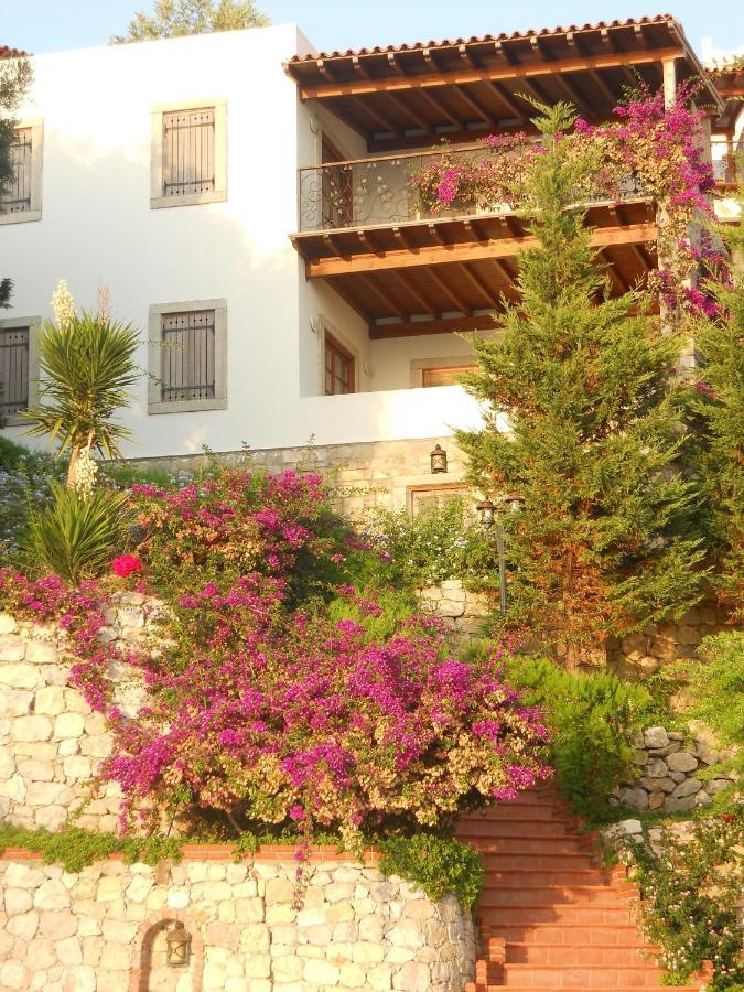 Arion Hotel 3*