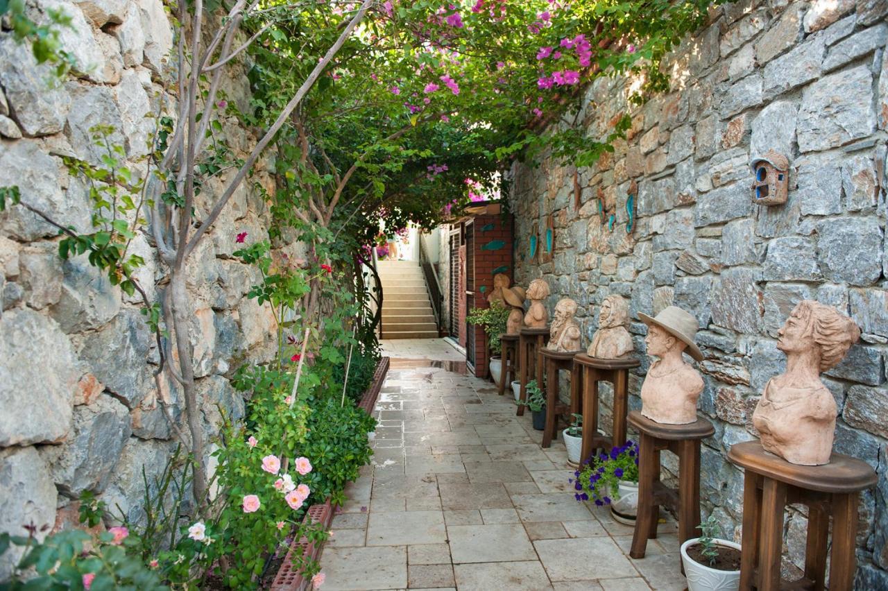 Swan - Adult Only 2* Selimiye (Aegean)