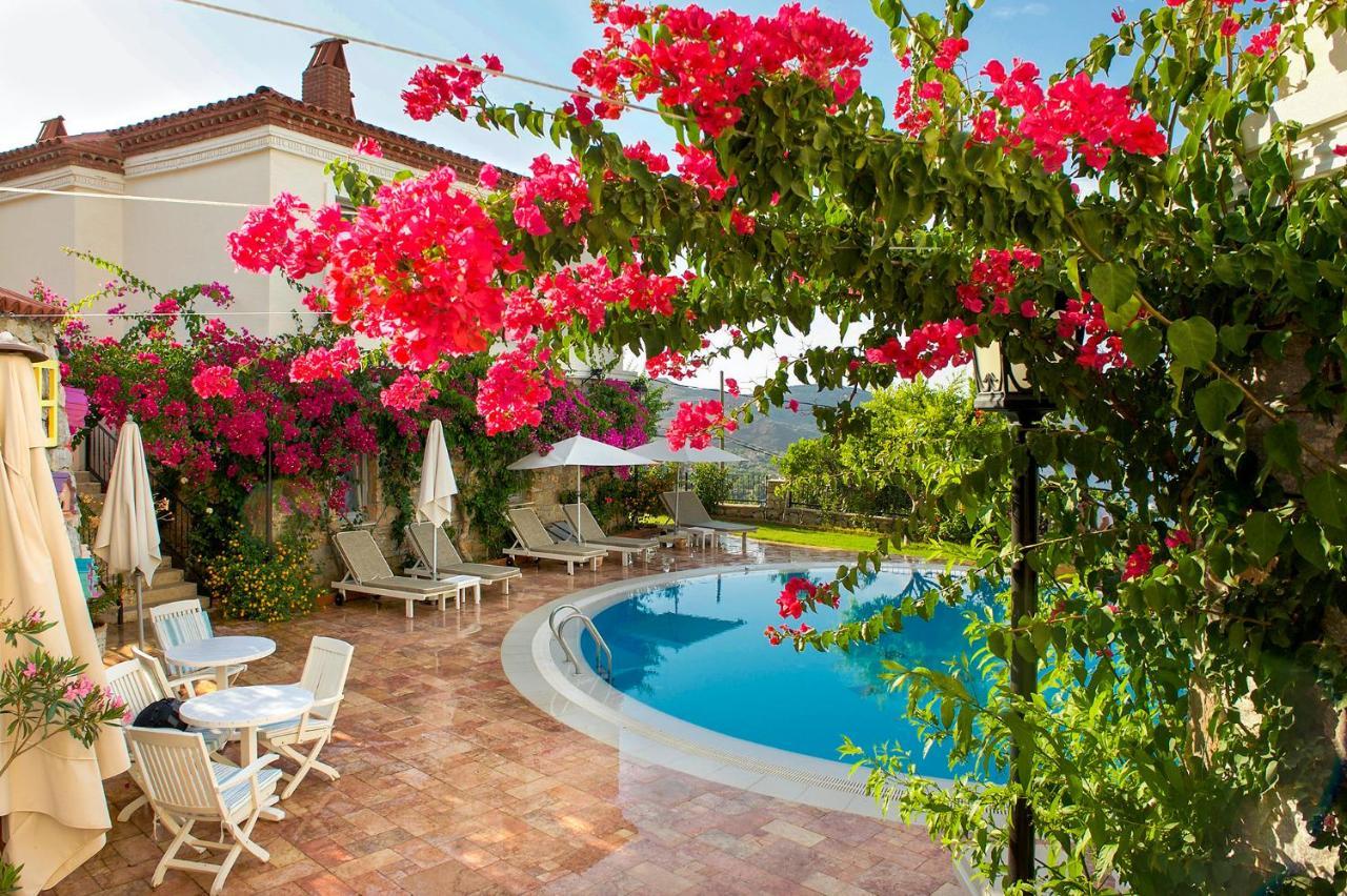 Swan - Adult Only 2* Selimiye (Aegean)