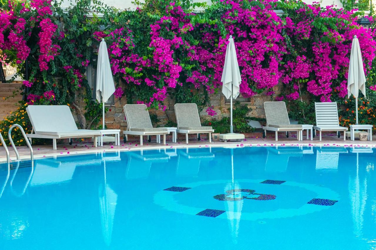 Hotel Swan - Adult Only Selimiye (Aegean)