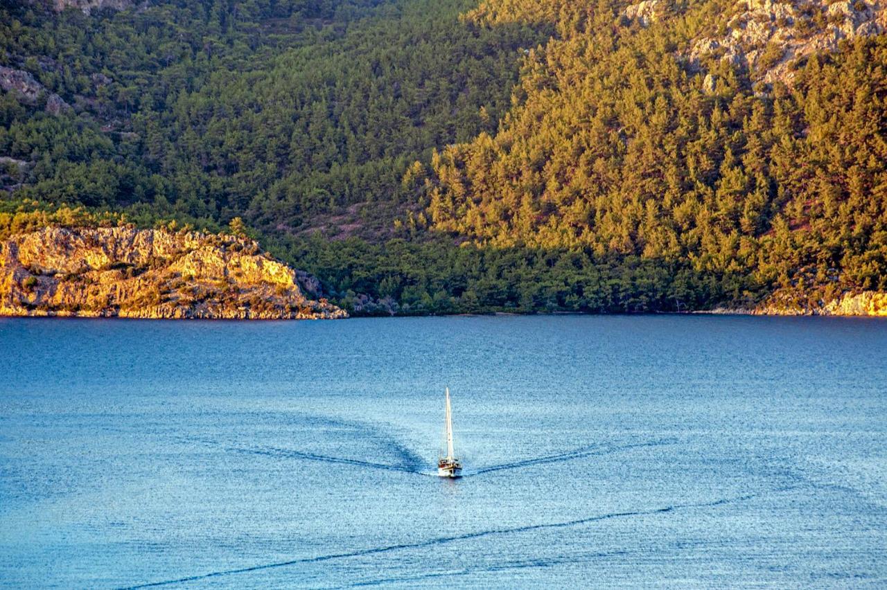 Swan - Adult Only Selimiye (Aegean)