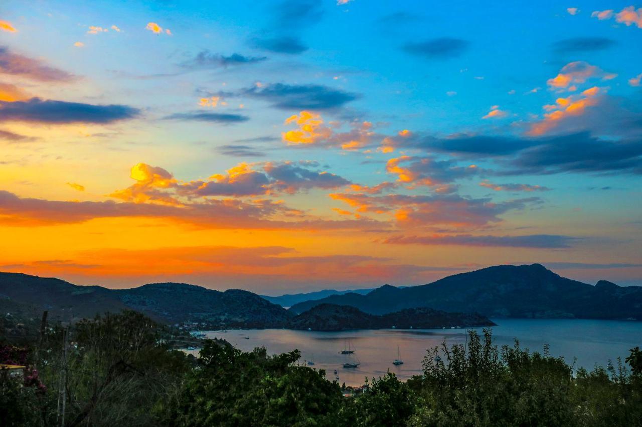 Swan - Adult Only 2* Selimiye (Aegean)
