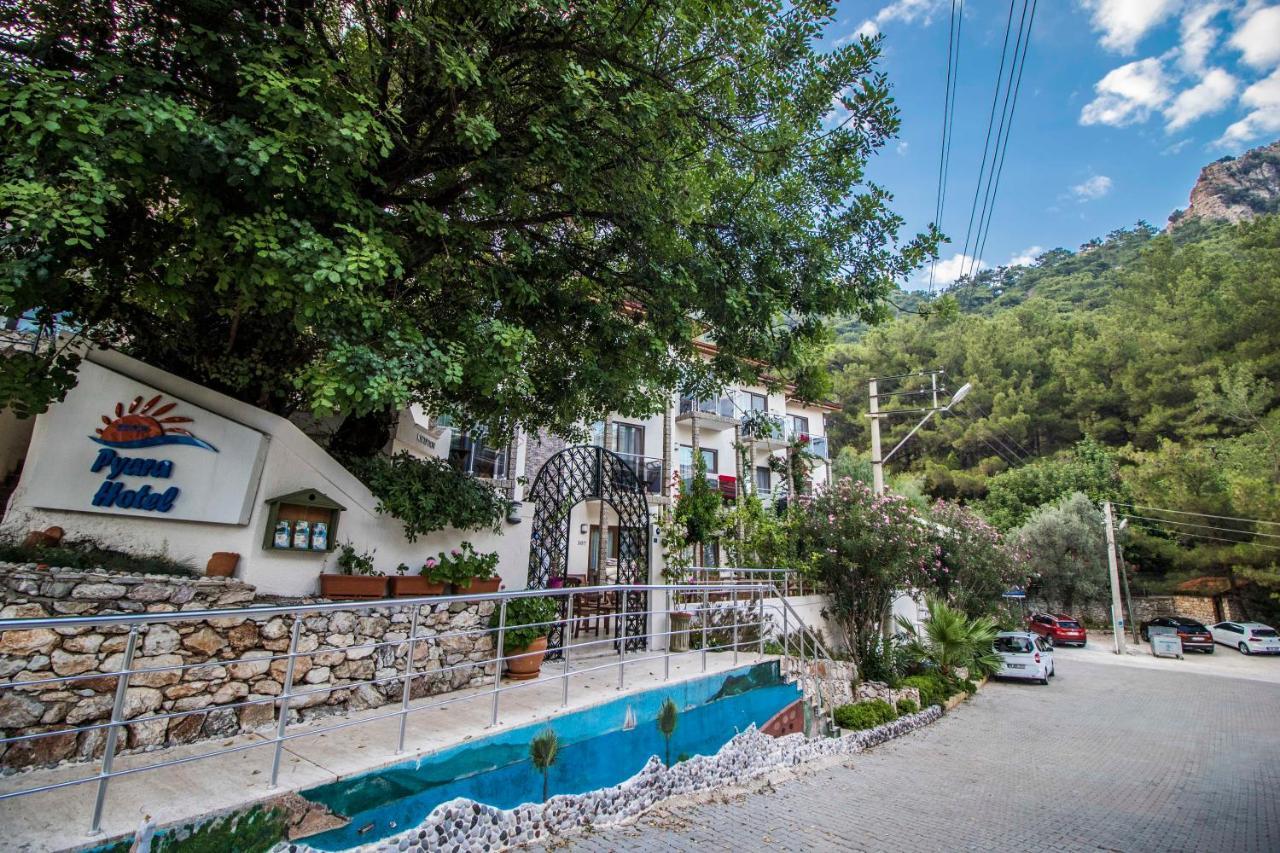 Hotel Eden Pyara 2*