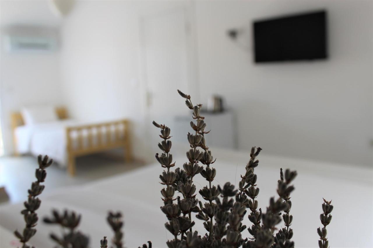 Bed & Breakfast Villamer