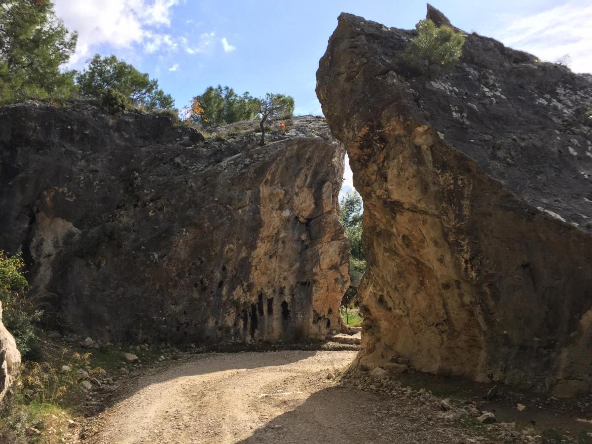 Beso Patara