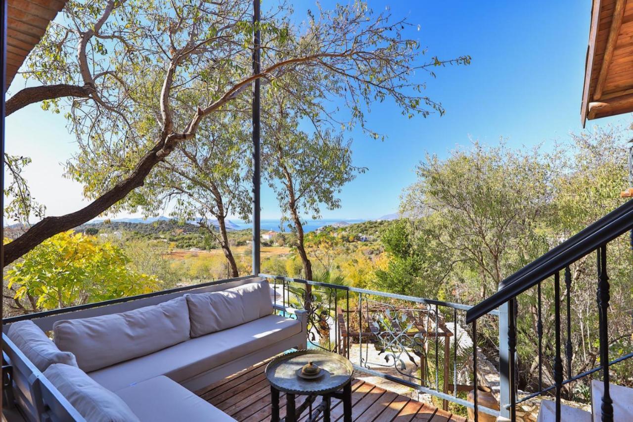 Lodge Kale - Adult Only + 15 *