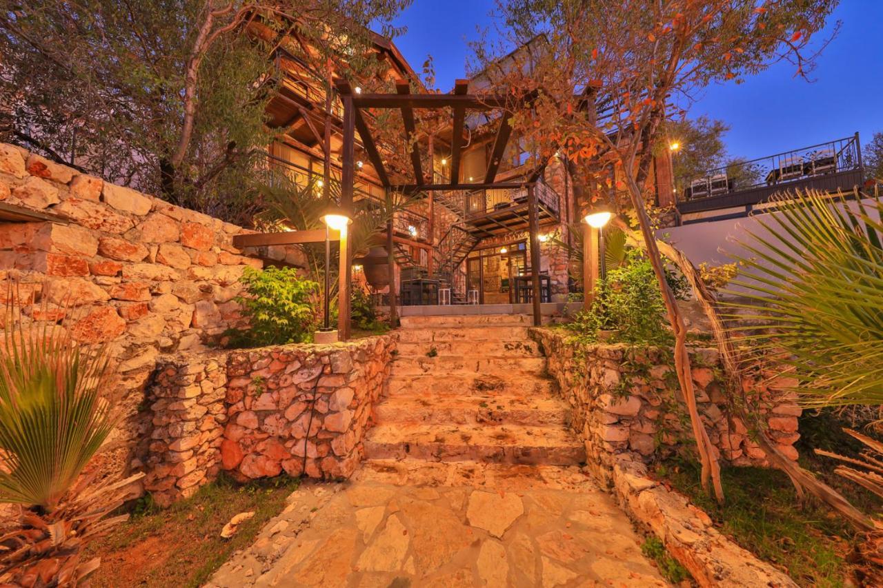 Lodge Kale - Adult Only + 15 *