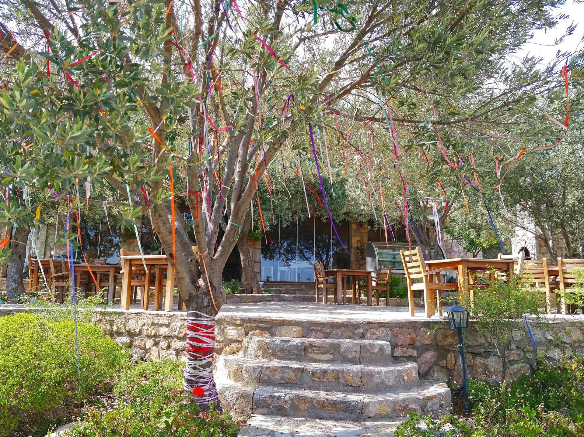 Zephyros Hotel Mesudiye (Datca)