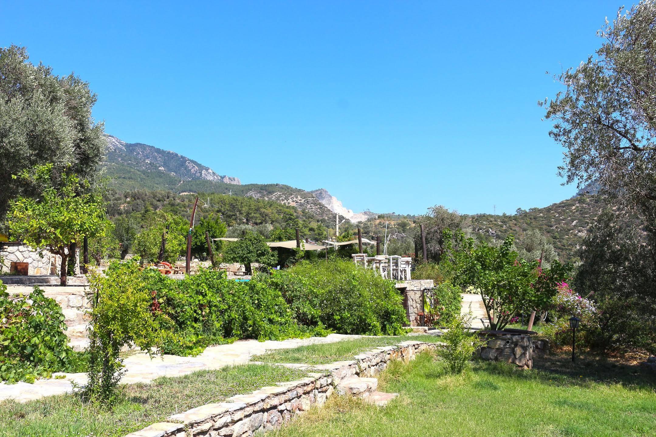 Zephyros Mesudiye (Datca)