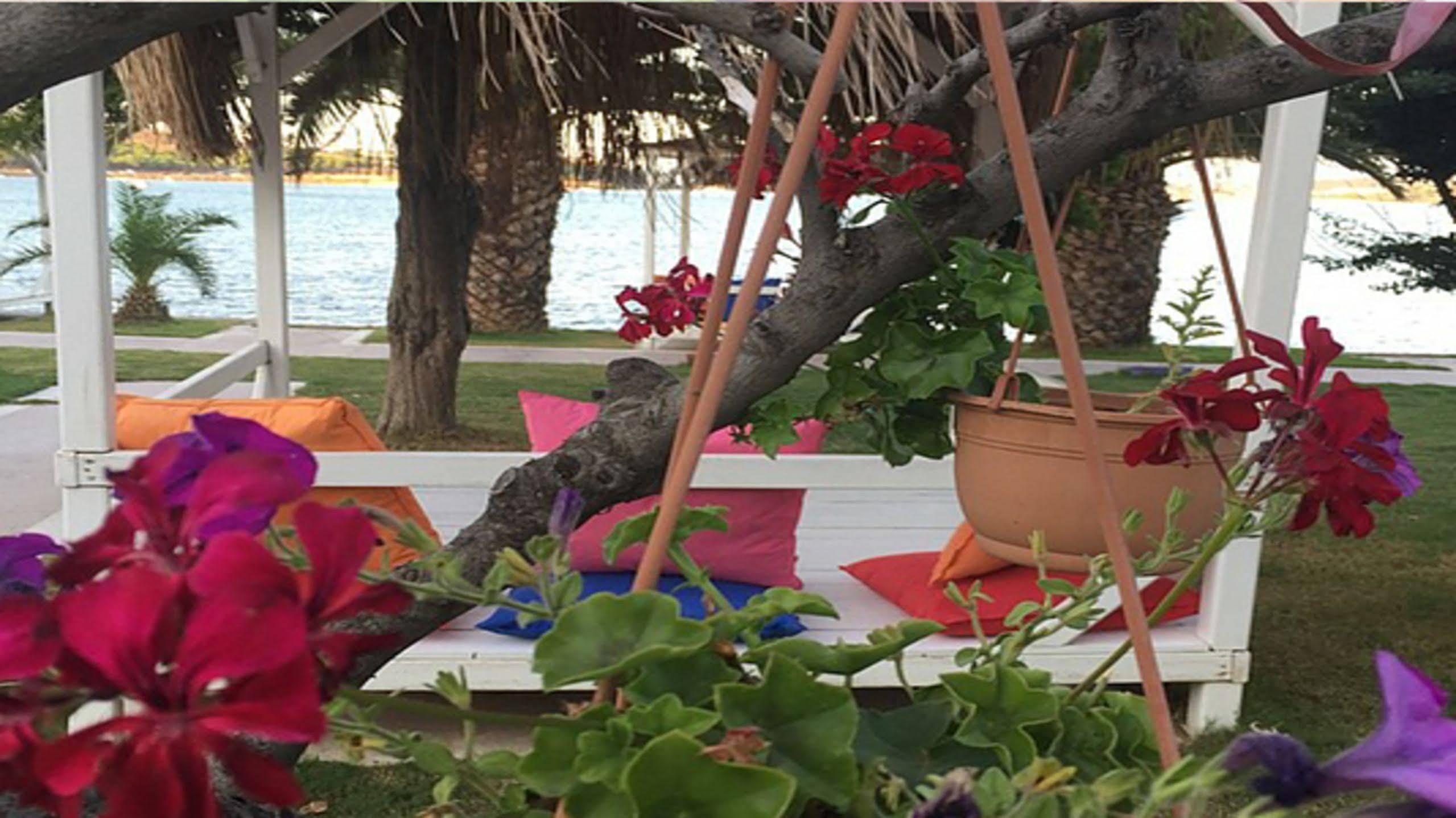 Erol - Adult Only Hotel 3*