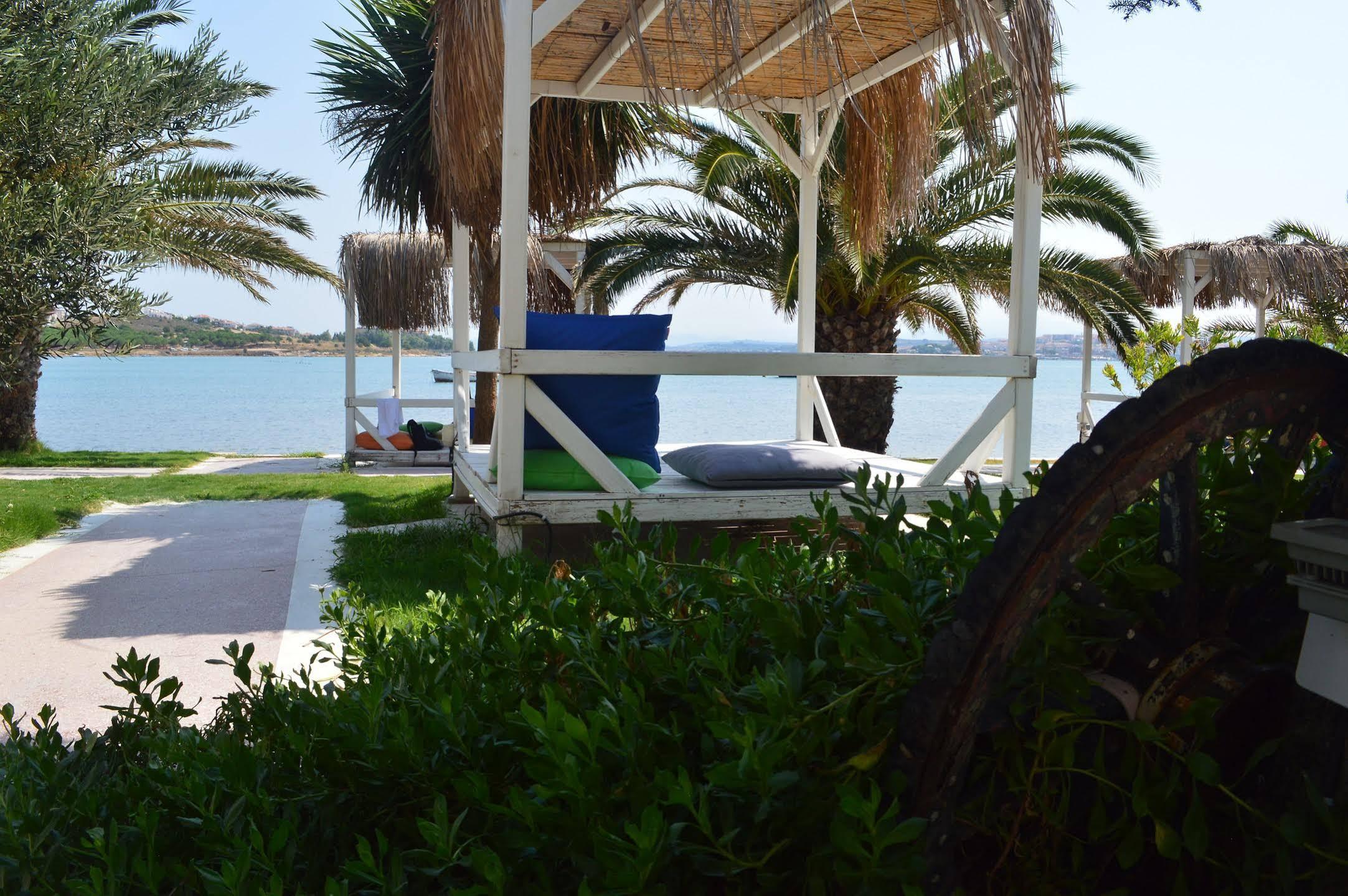 Erol - Adult Only Ayvalik