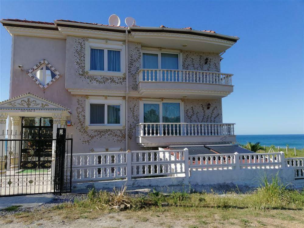 Perice Sinop