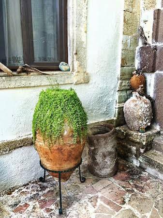 Homestay Sakli Karaburun (Izmir)