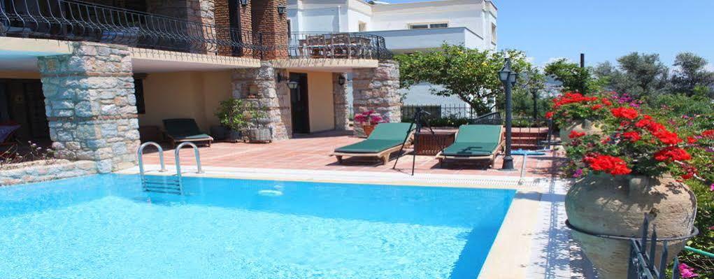 Bed & Breakfast Cosy 3*
