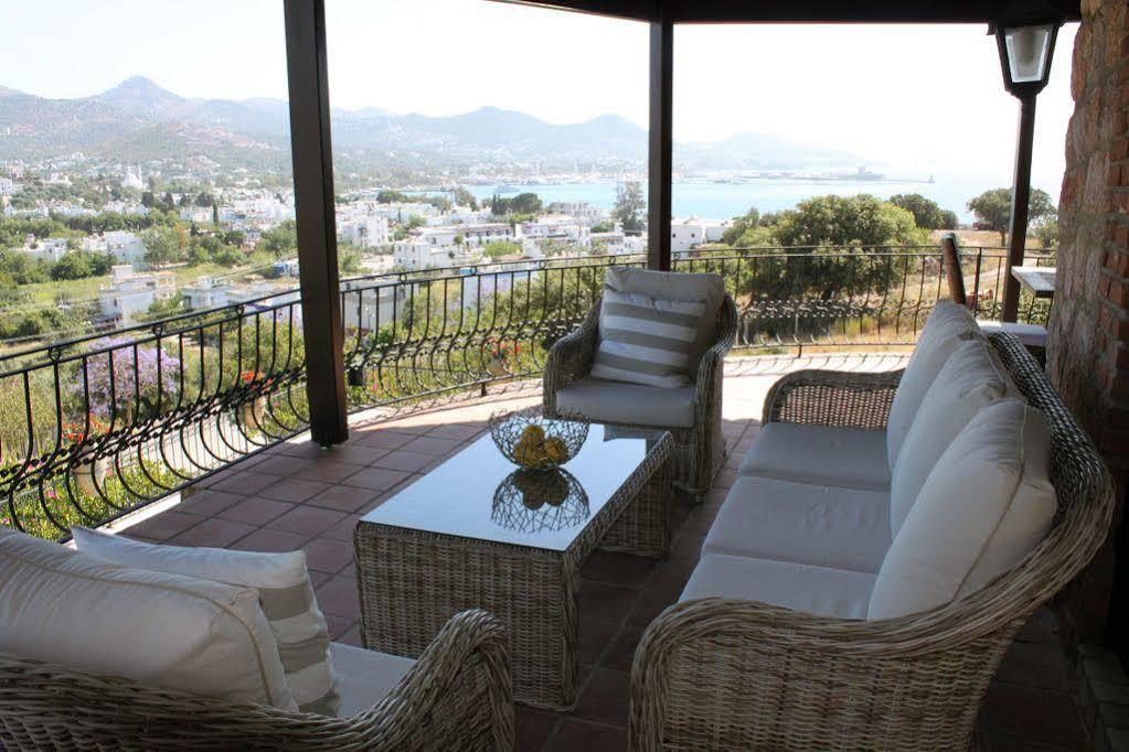Cosy 3*