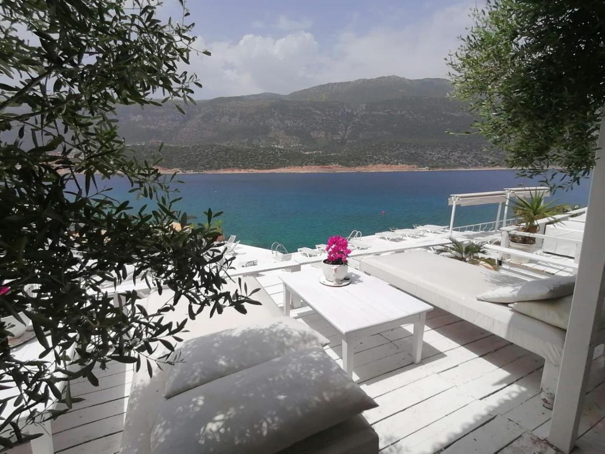 Hotel Club Capa 3*