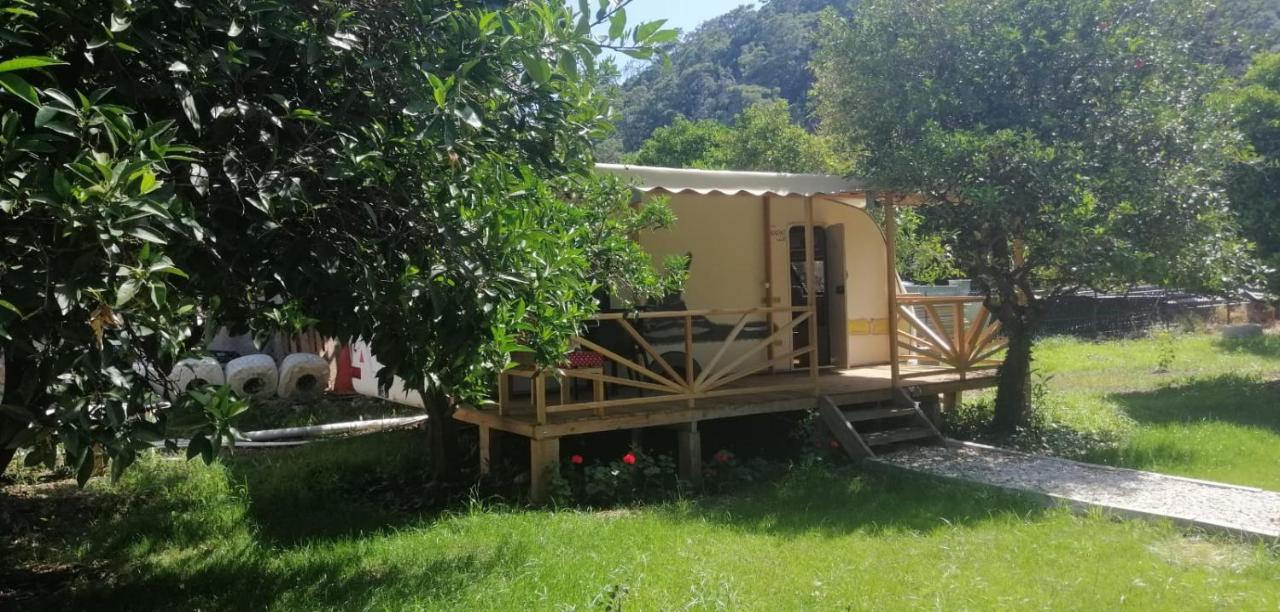 Kara Kedi Bed & Breakfast Cirali