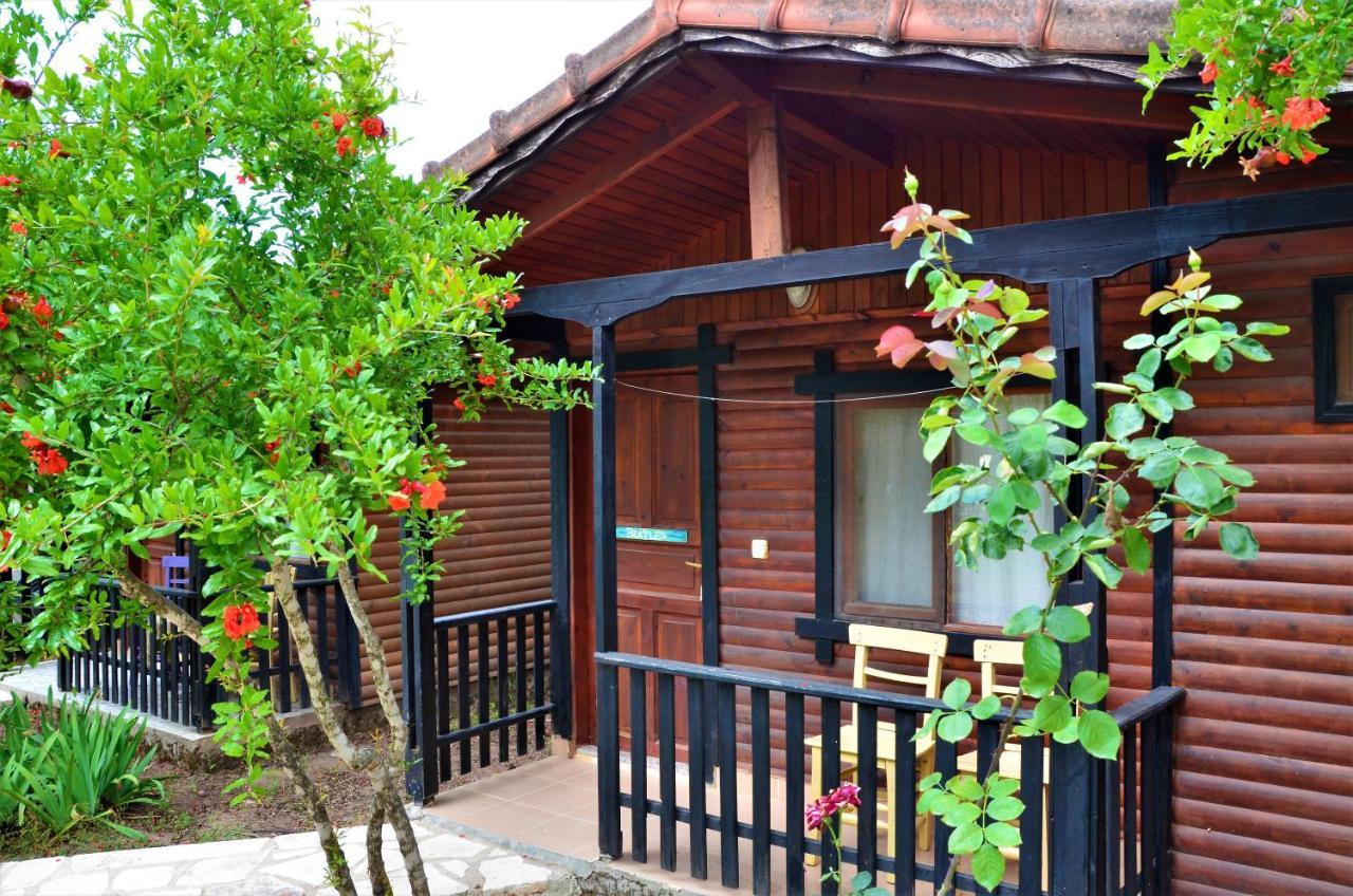 Guest house Koala
