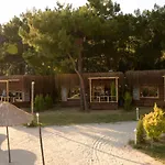 Green Pine Bungalows & Beach Luxury Concept