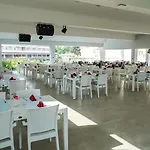 Catty Cats Garden Hotel