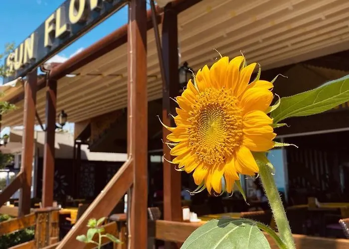 Sun Flower Apart Hotel