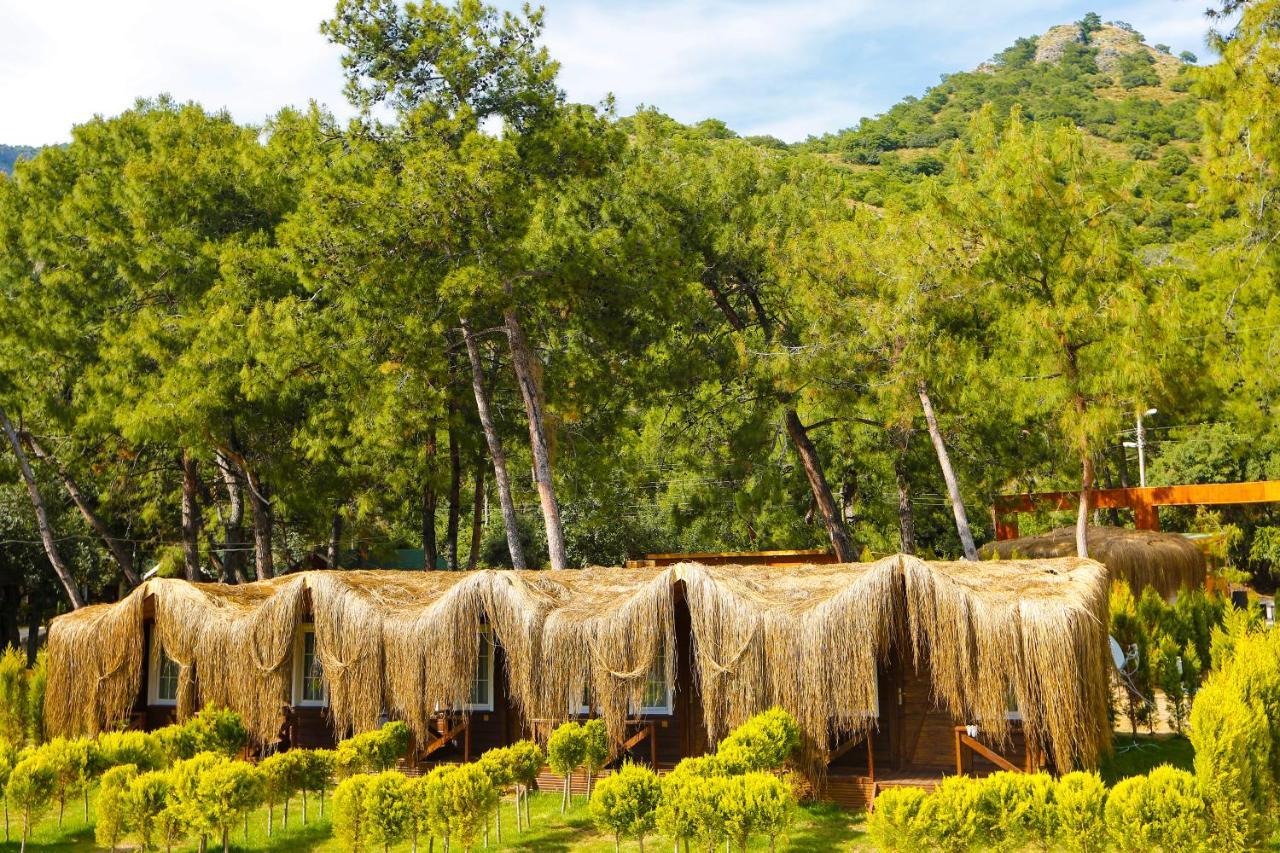 Pine & Luxury Concept * Oludeniz