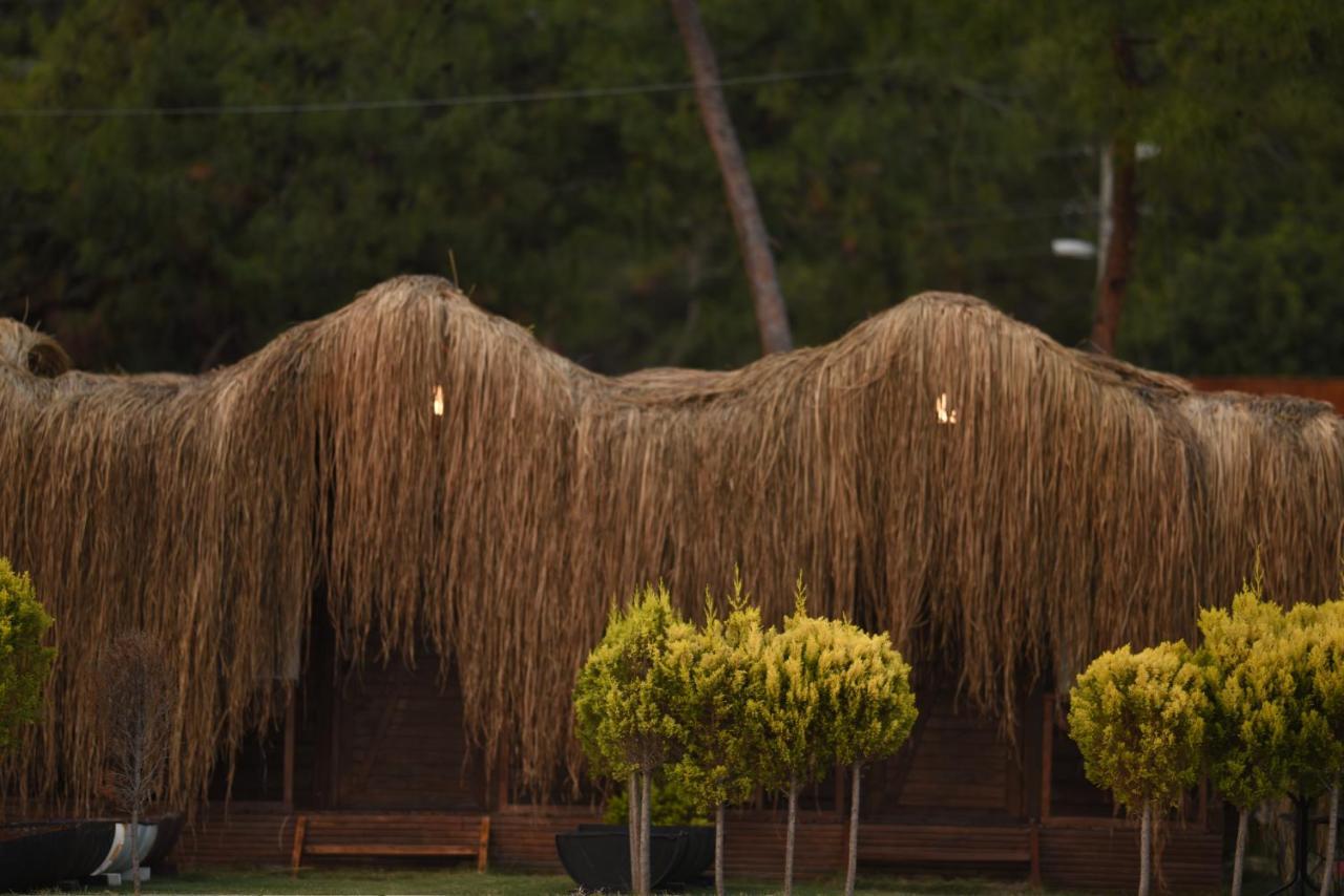 Hotel Pine & Luxury Concept Oludeniz
