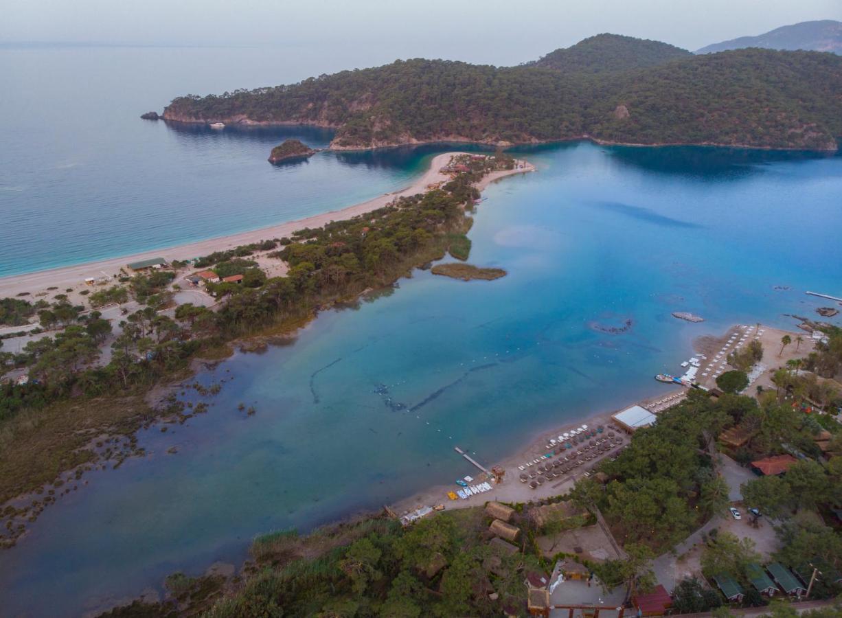 Pine & Luxury Concept Hotel