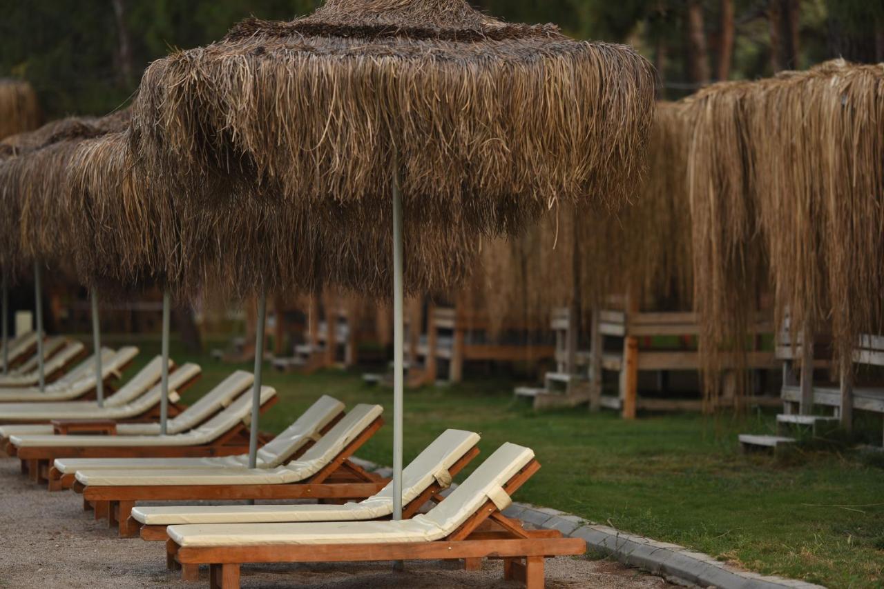 Pine & Luxury Concept Hotel *