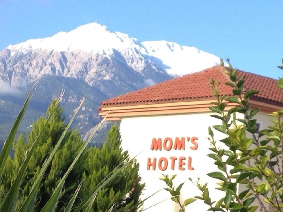 Hotel Mg Moms 3*