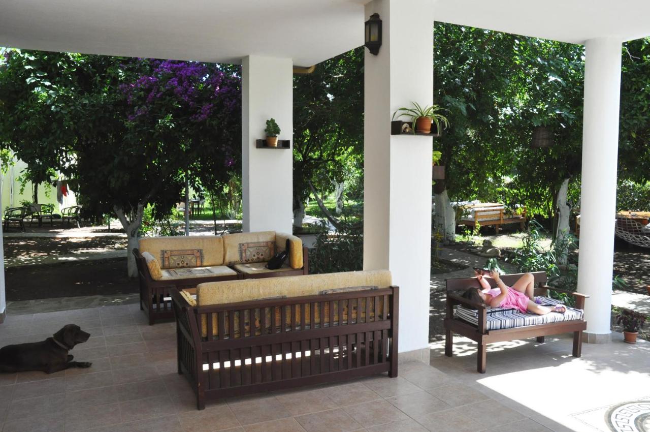 Hotel San Simon *