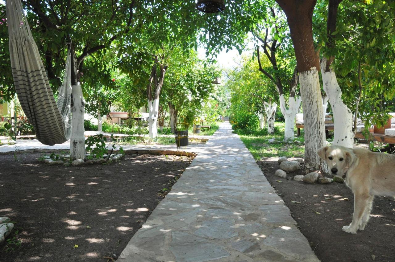 Hotel San Simon